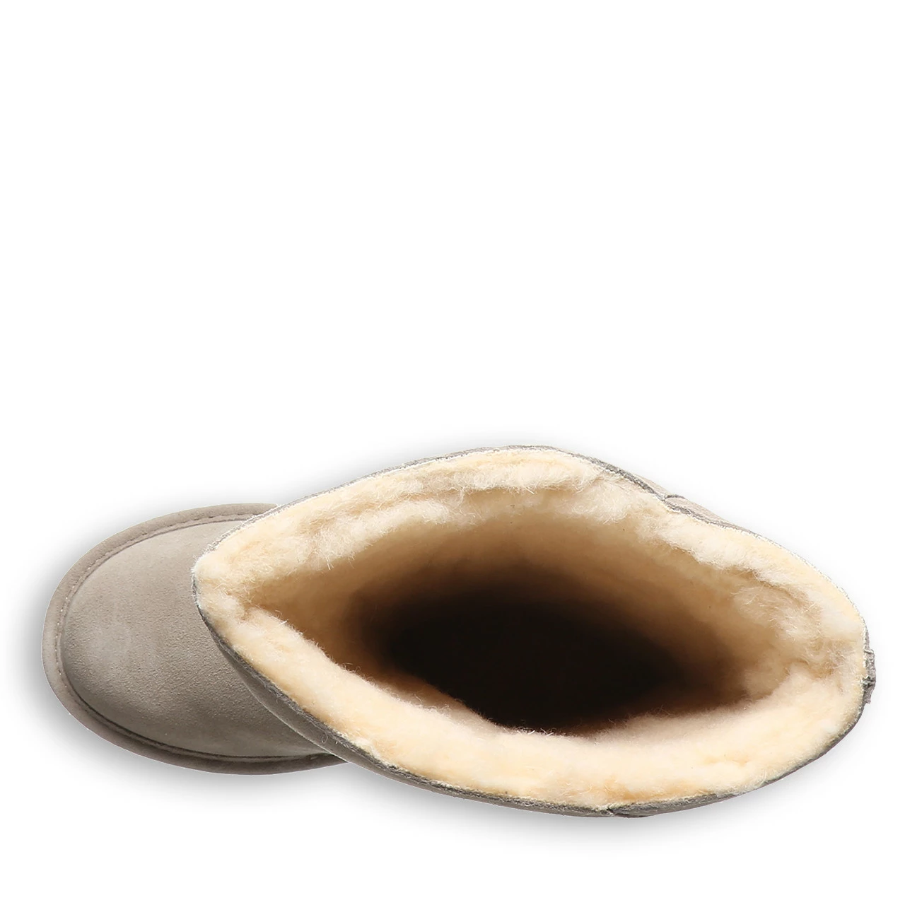 Bearpaw Violet Mushroom - Image 4