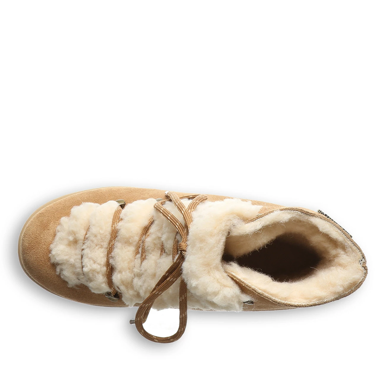 Bearpaw Alisa Iced Coffee - Image 4