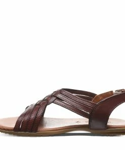 Bearpaw Agate Walnut